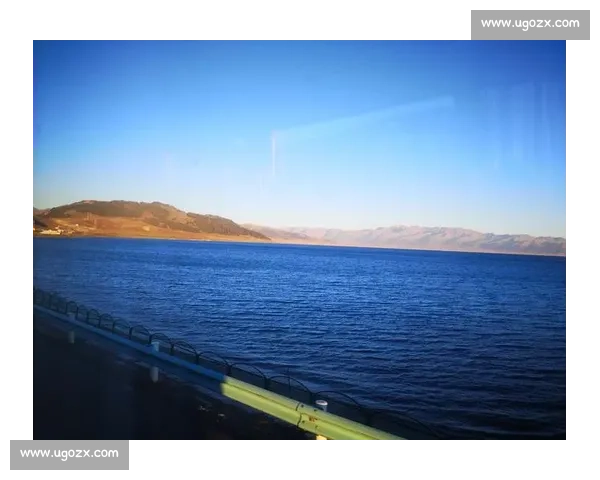 眼泪藏热爱!新疆小巴郎为津门虎呐喊